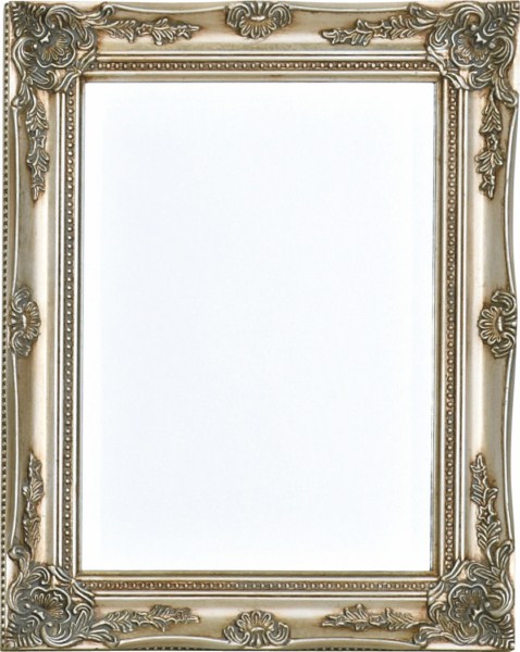 Spegel m ram i silver 40x50 cm